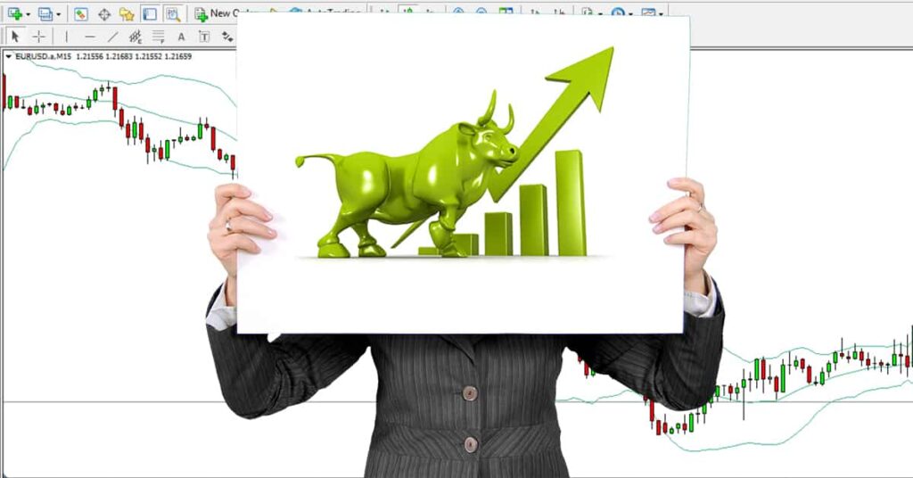 trading bull market