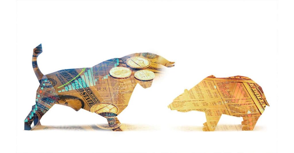 bull vs bear coins